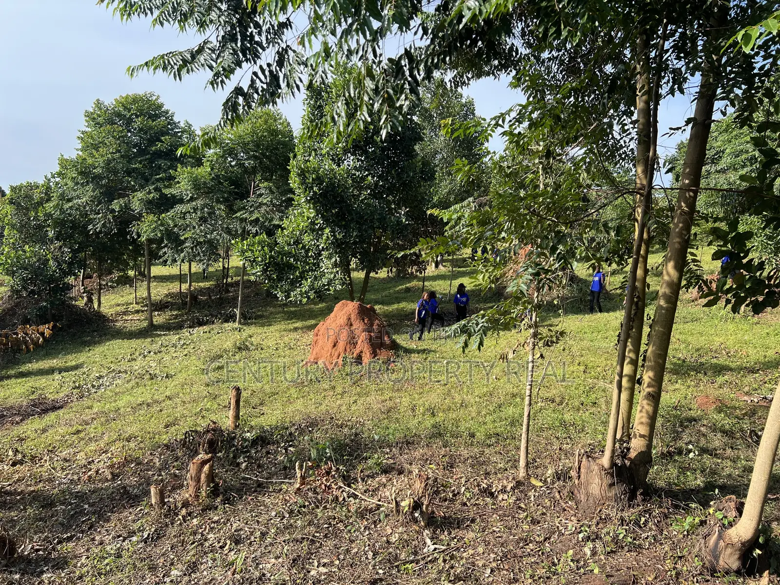 Land in Mukono