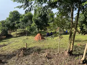 Land in Mukono