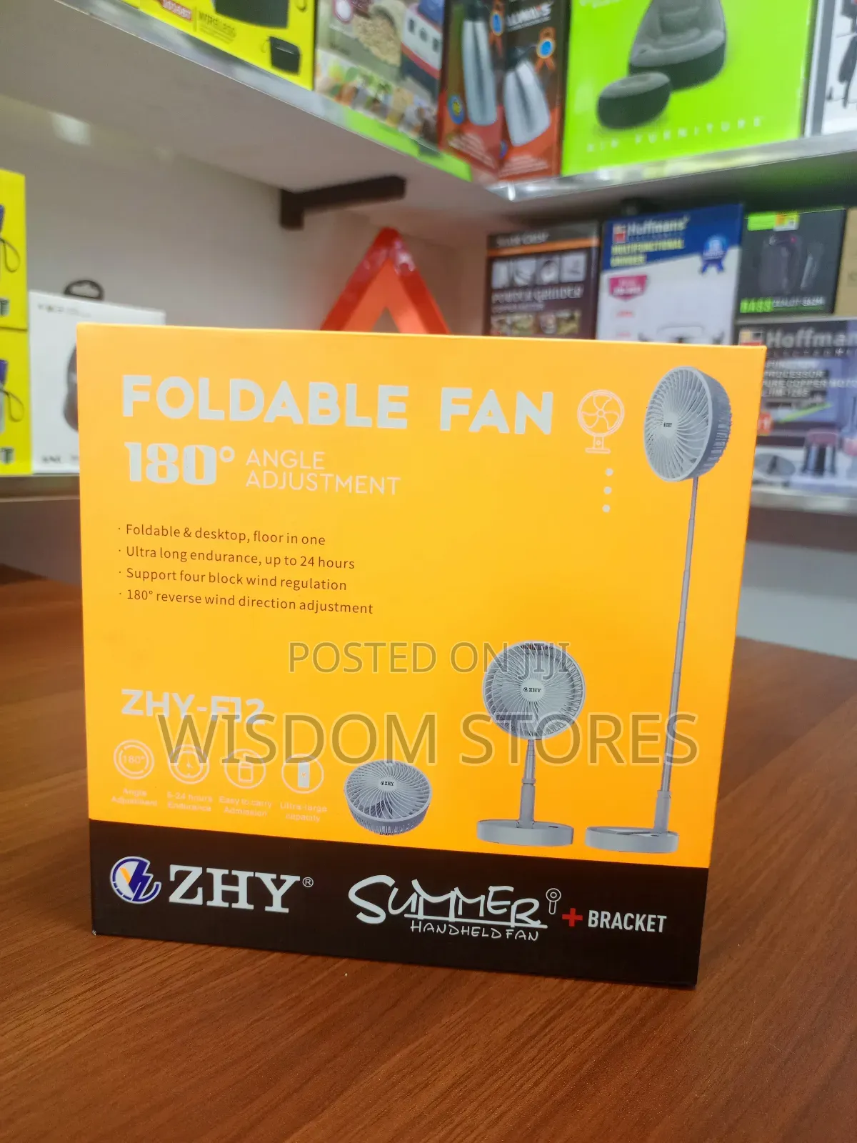 Foldable Fan.