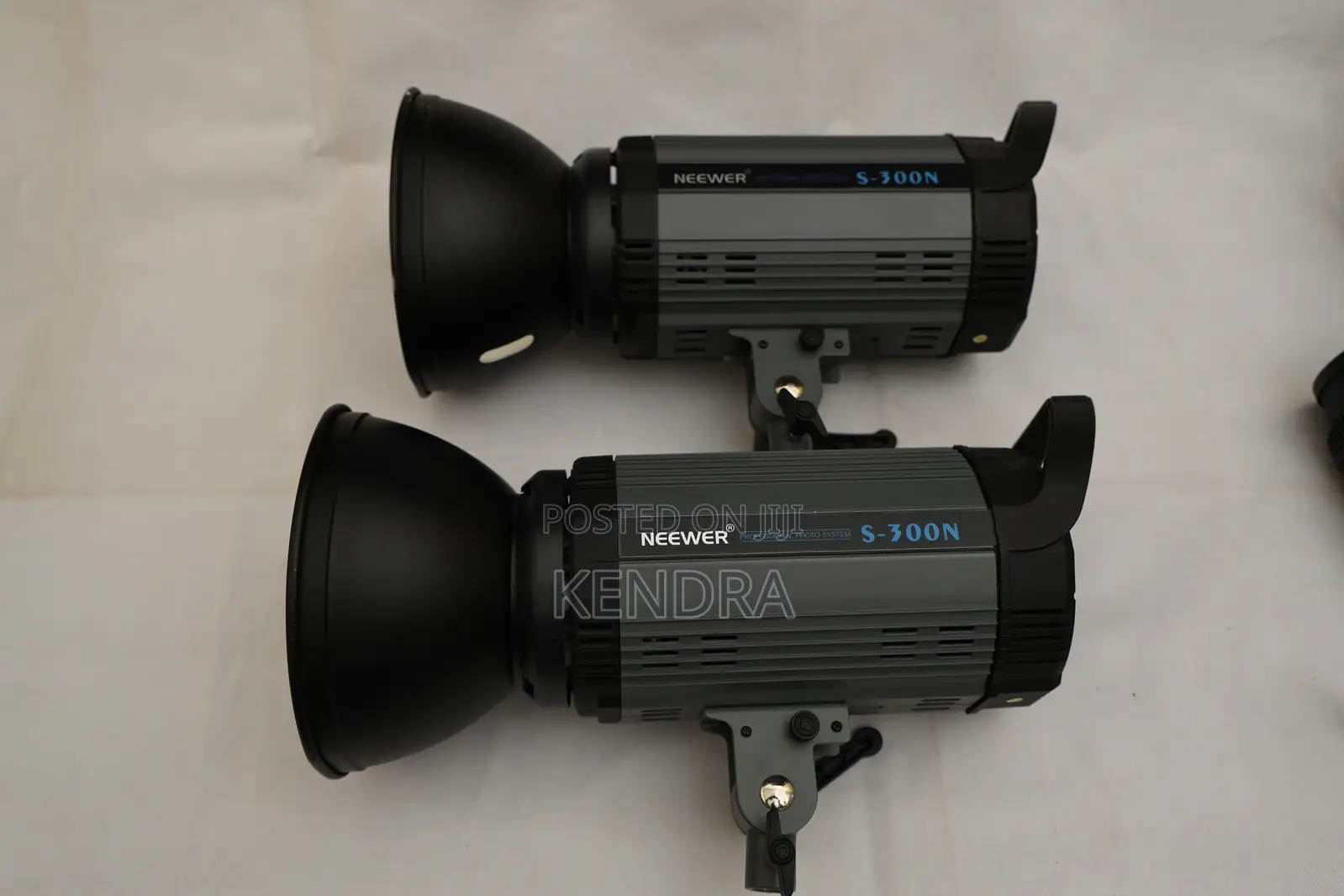 2x Neewer Professional S-300n Lights