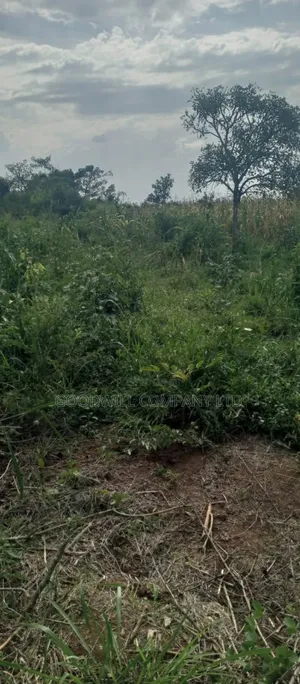 10 Acres of Land for Sale in Mazzi Luwero
