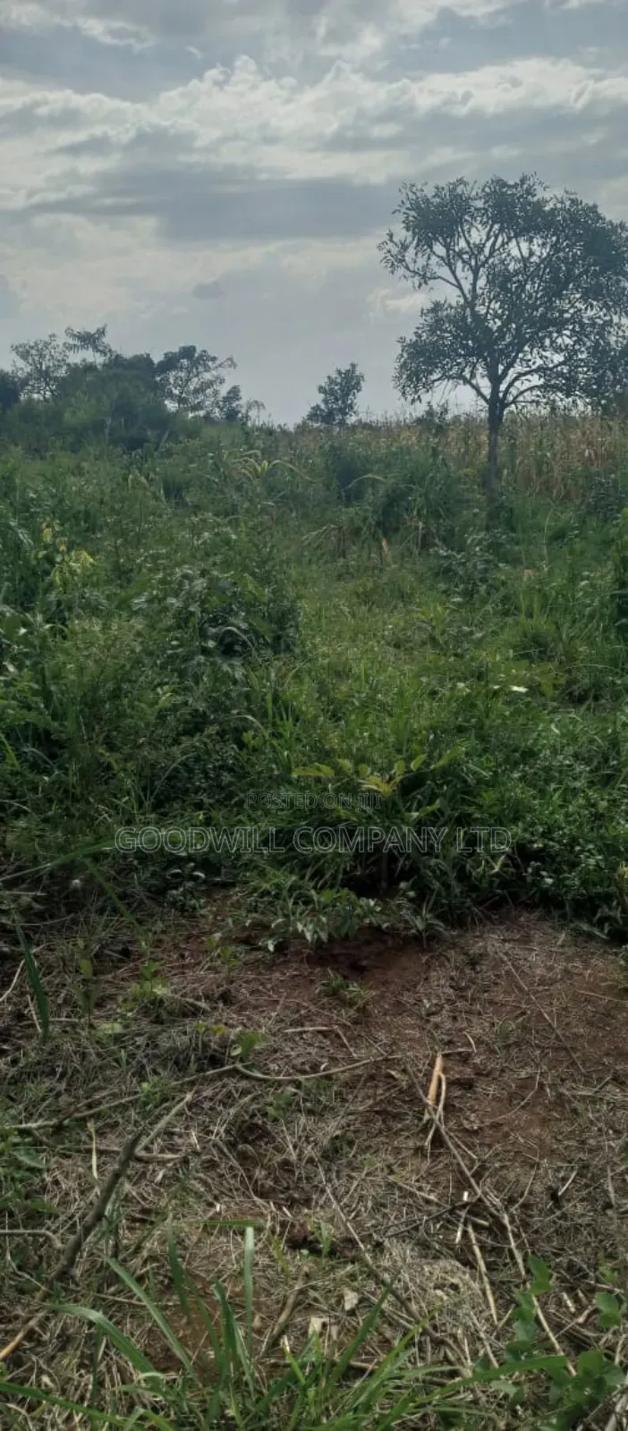 10 Acres of Land for Sale in Mazzi Luwero