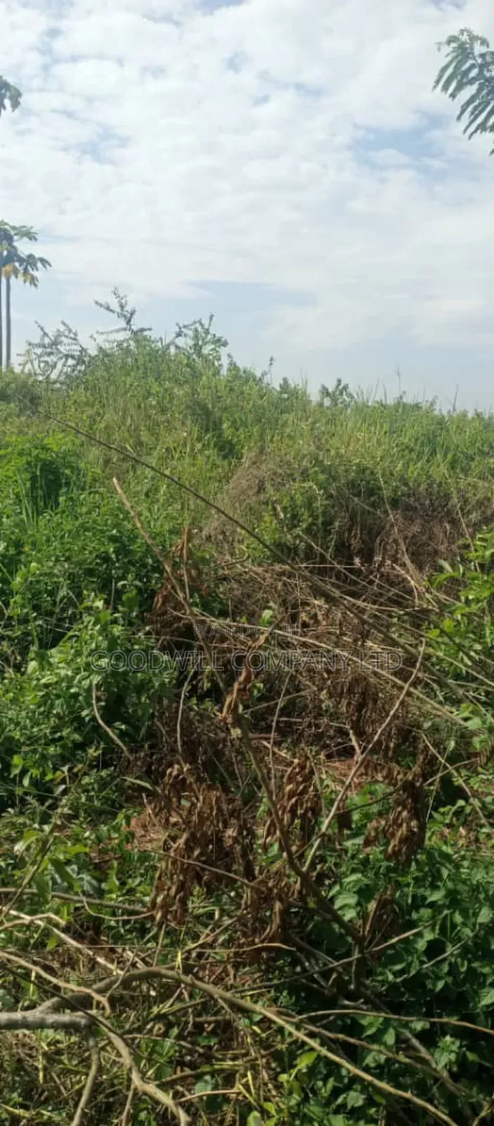10 Acres of Land for Sale in Mazzi Luwero