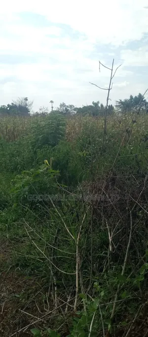 10 Acres of Land for Sale in Mazzi Luwero