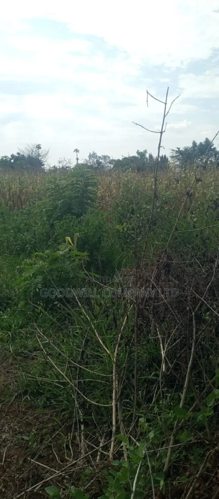 10 Acres of Land for Sale in Mazzi Luwero
