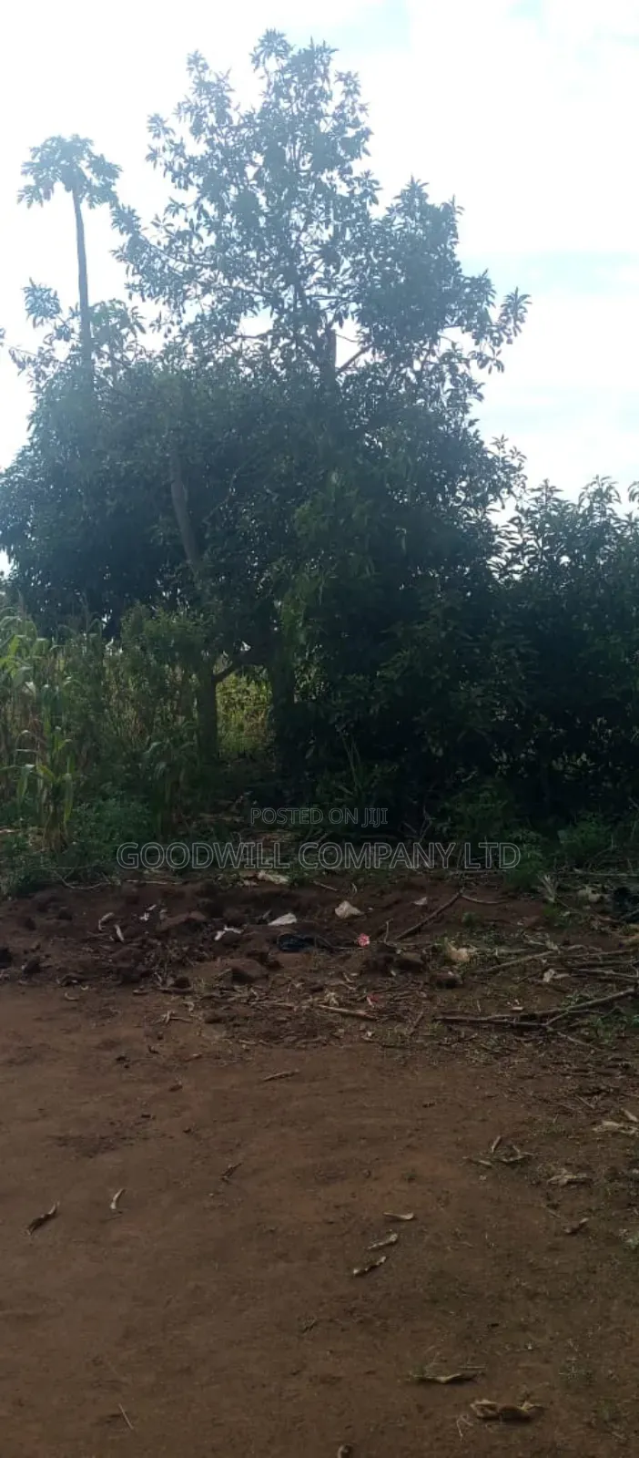 10 Acres of Land for Sale in Mazzi Luwero