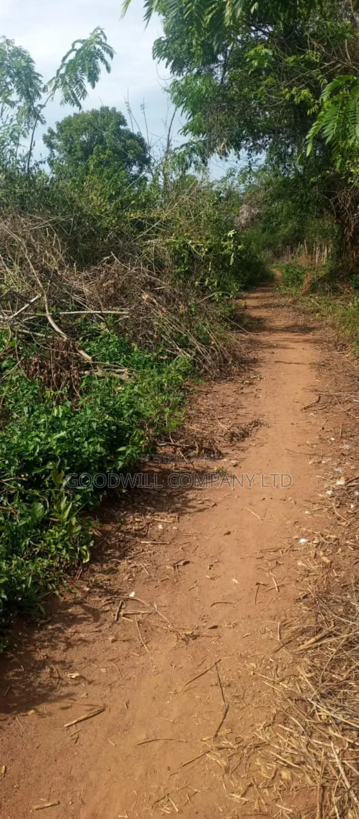 10 Acres of Land for Sale in Mazzi Luwero