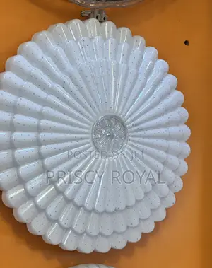 Led Ceiling Lights