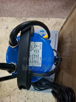 Electric Submersible Water Pump