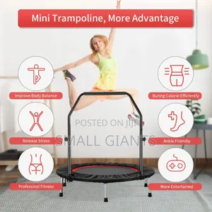Foldable Mini Exercise Trampoline With an Adjustable Handle Bar