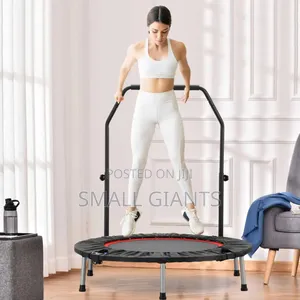 Foldable Mini Exercise Trampoline With an Adjustable Handle Bar