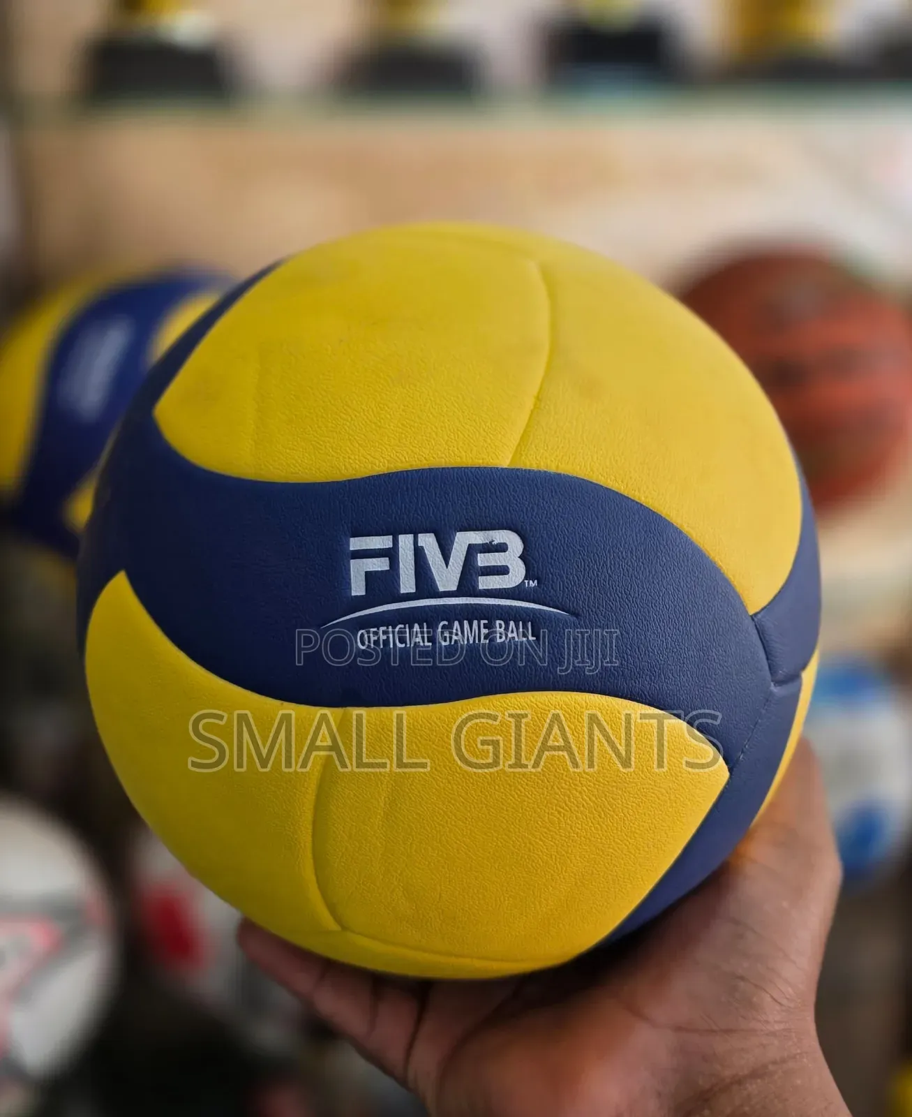 Mikasa V330w Official Fivb Volleyball.
