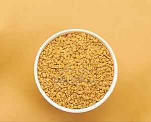 Fenegrik Seeds