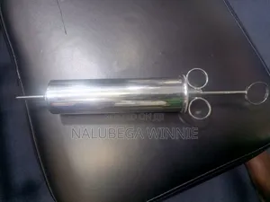 Stainless Ear Syringe