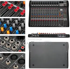 12-Channel Studio Audio Mixer, XLR Microphone Jack, 48v Power Supply