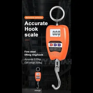 Crane Weighing Scales