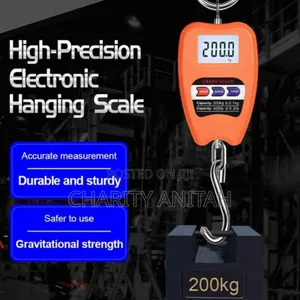 Crane Weighing Scales