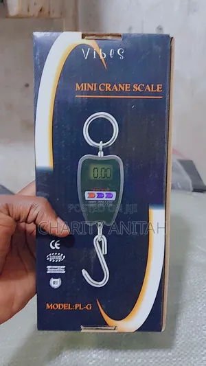 Crane Weighing Scales