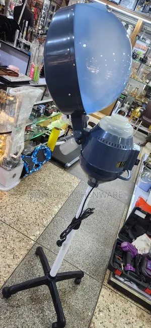 Salon Hair Hair Dryer or Steamer