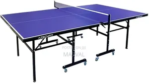 Life Sport Ti15 Indoor Table Tennis Table.
