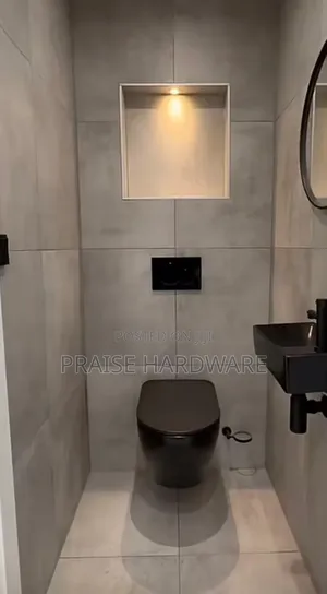 Black Wall Hug Toilet