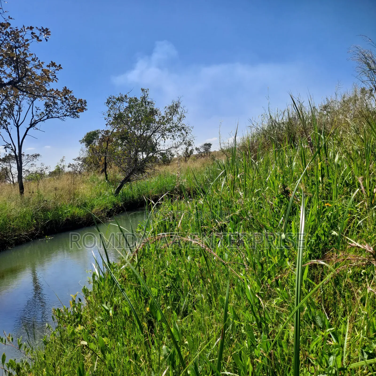 Fertile Farmland For Sale In Nwoya