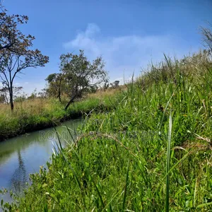 Fertile Farmland For Sale In Nwoya