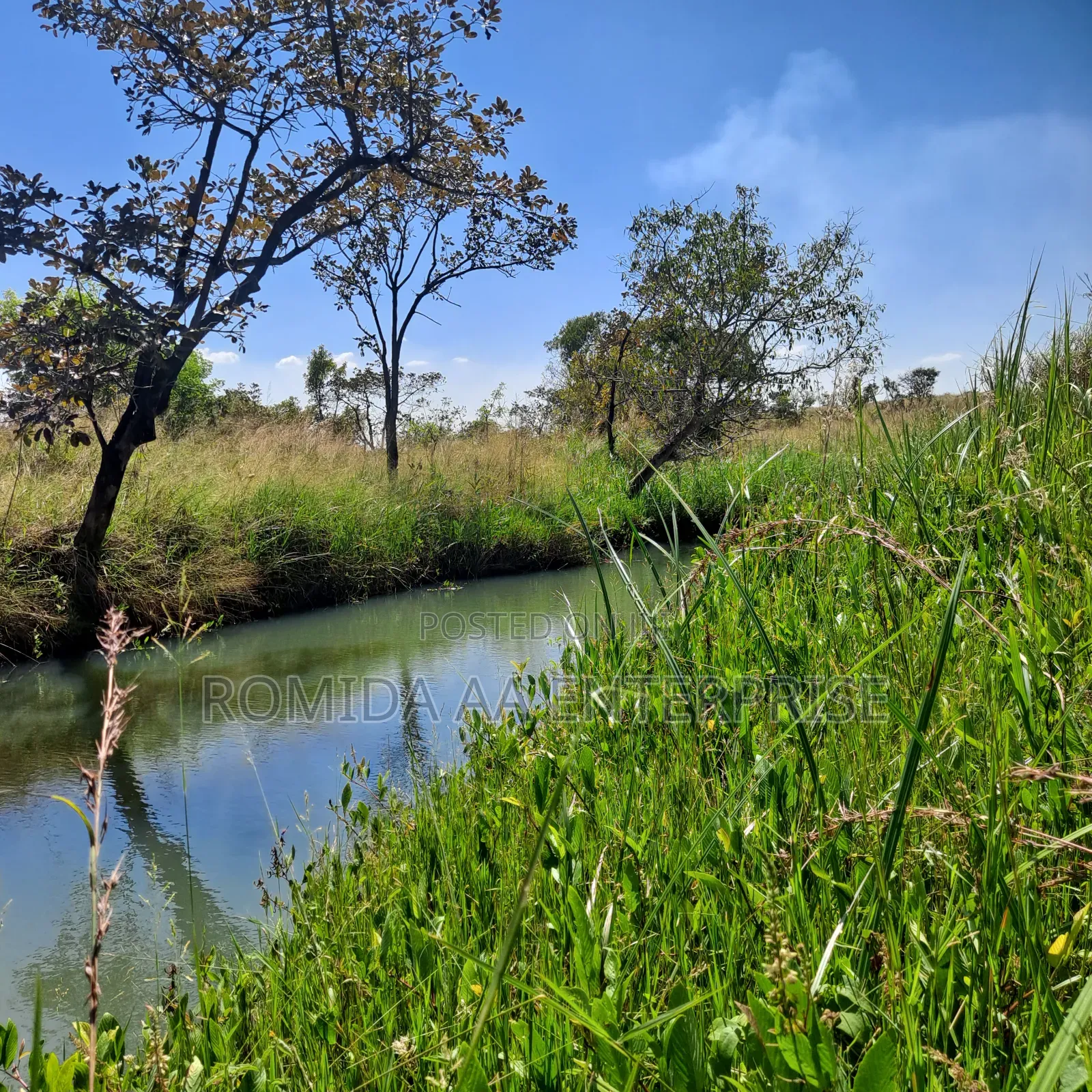 Fertile Farmland For Sale In Nwoya