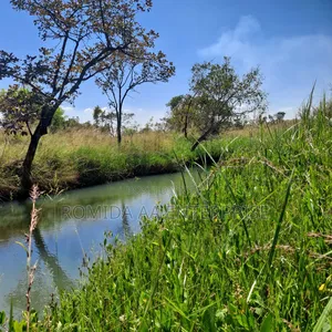 Fertile Farmland For Sale In Nwoya