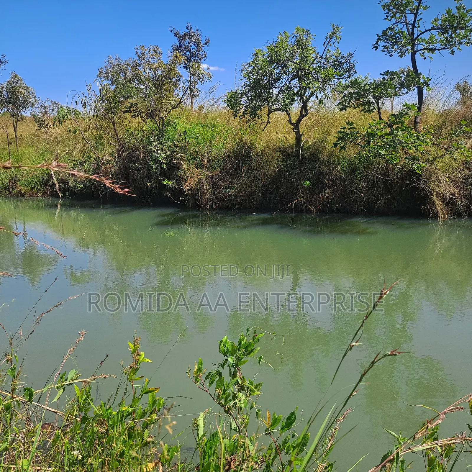 Fertile Farmland For Sale In Nwoya