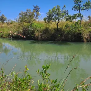 Fertile Farmland For Sale In Nwoya