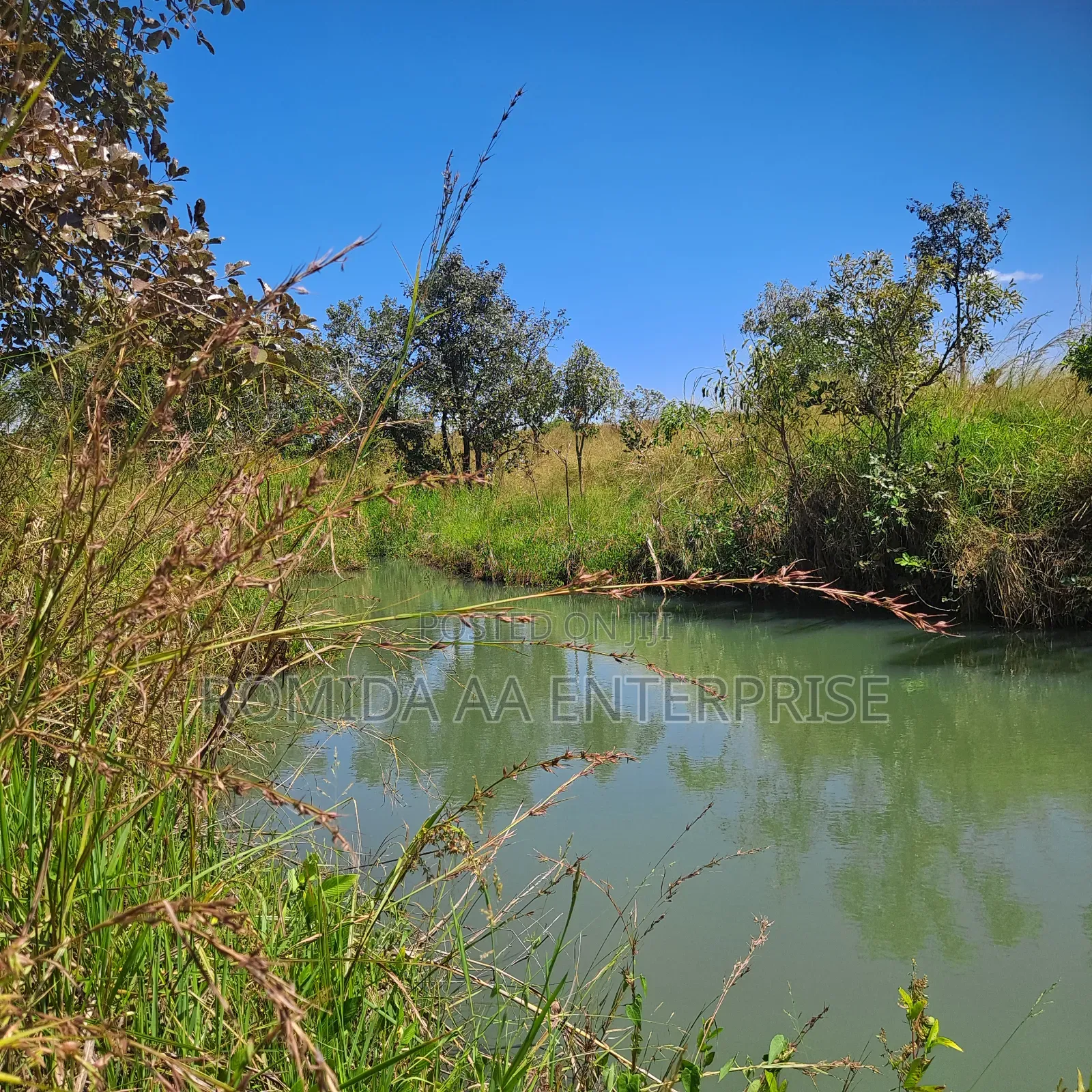 Fertile Farmland For Sale In Nwoya