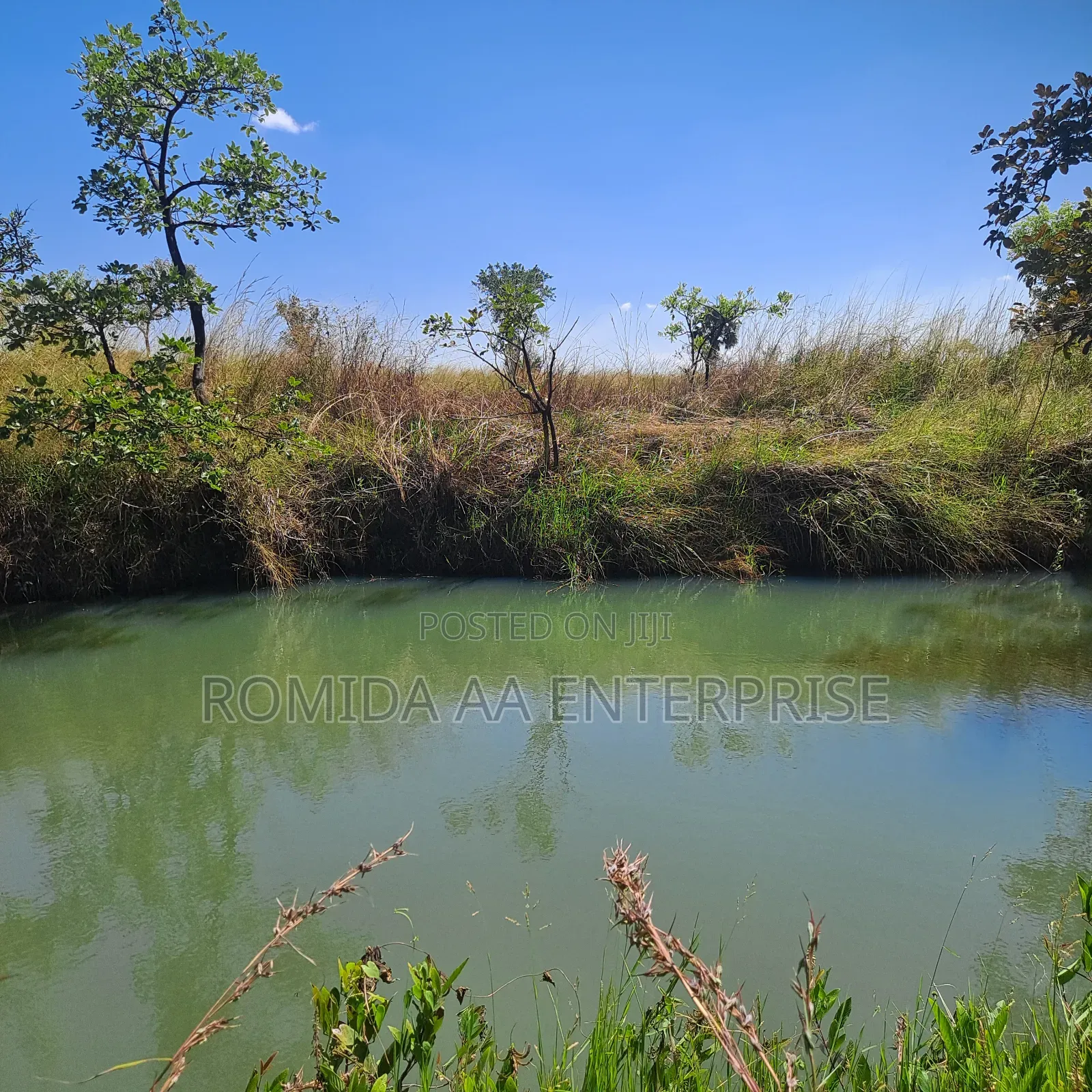 Fertile Farmland For Sale In Nwoya