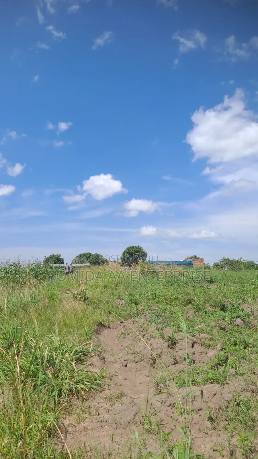 Fertile Farmland For Sale In Nwoya