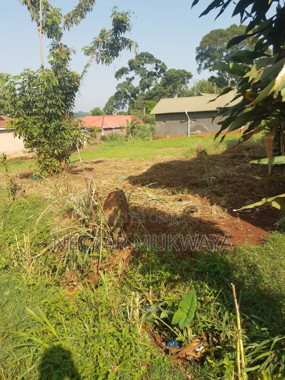 New Land Near Ucu Mukono