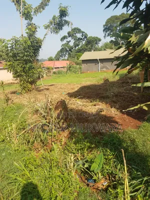 New Land Near Ucu Mukono