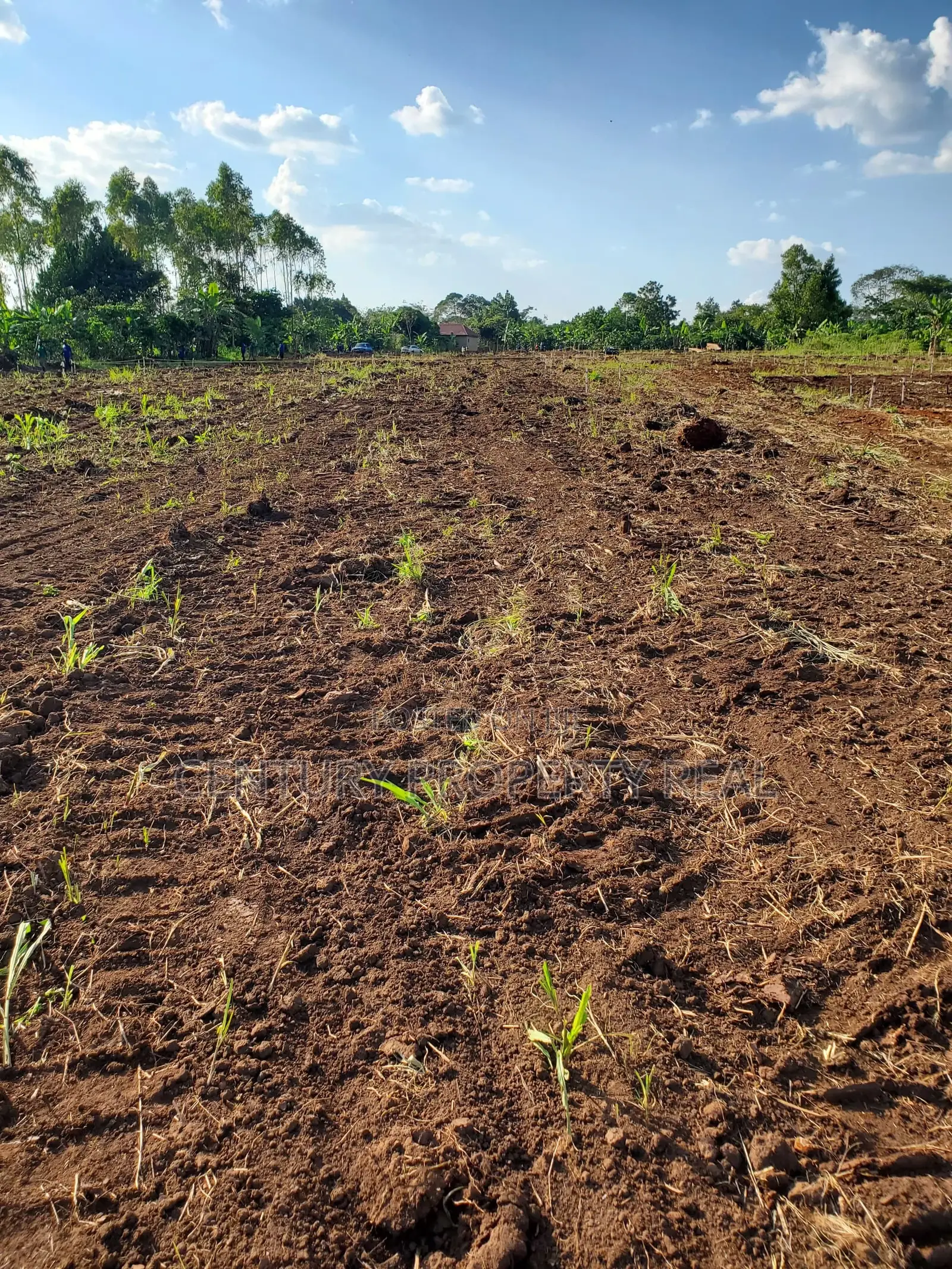 Land For Sale In Mukono Nakifuma