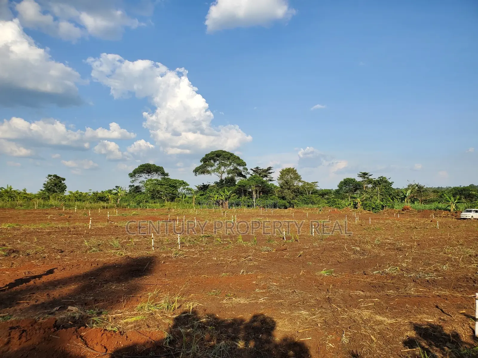 Land For Sale In Mukono Nakifuma