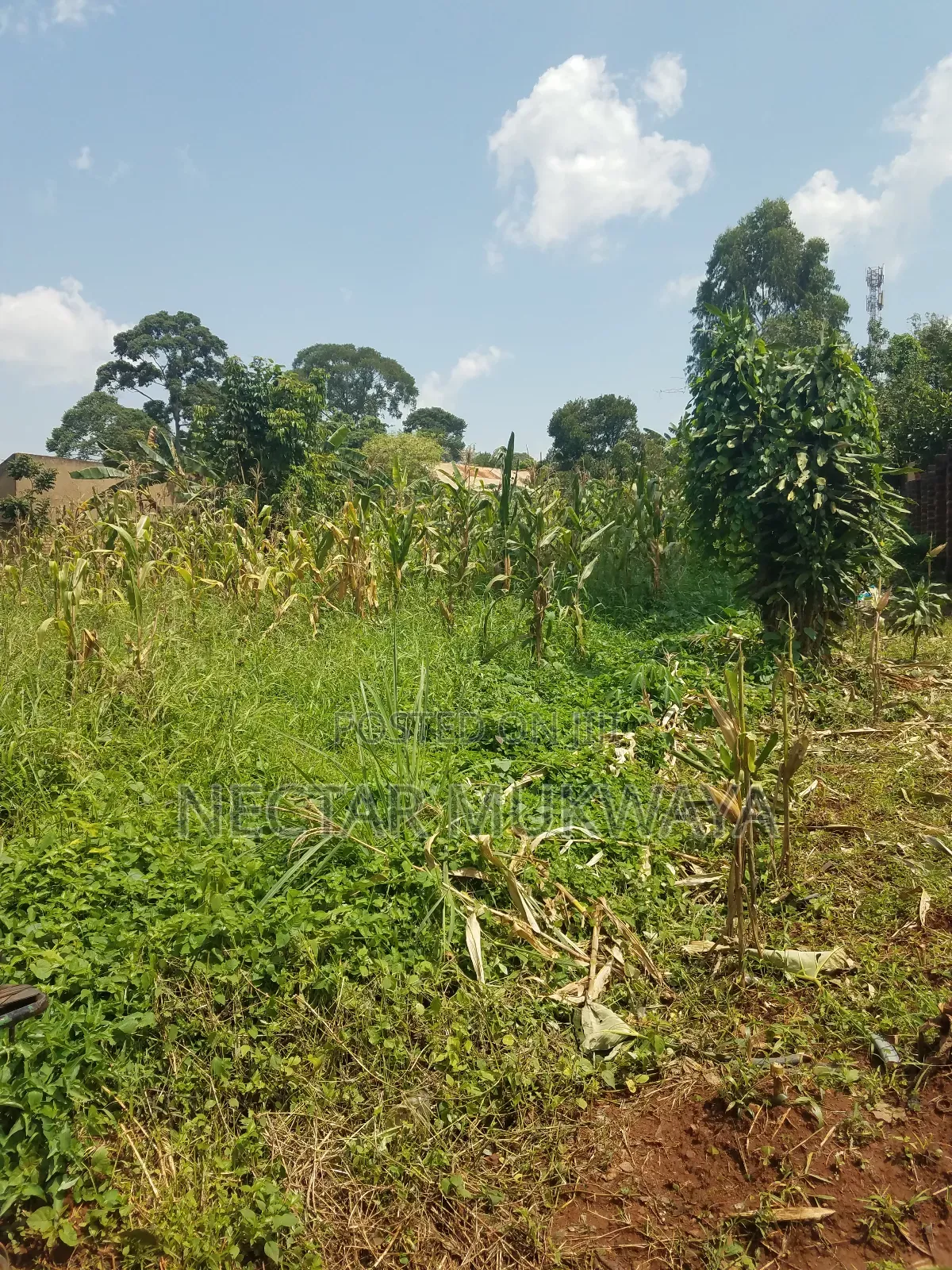 Land Near Ucu Half Accre
