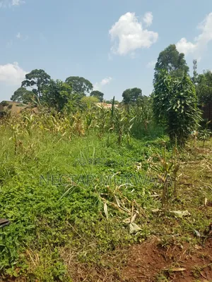 Land Near Ucu Half Accre