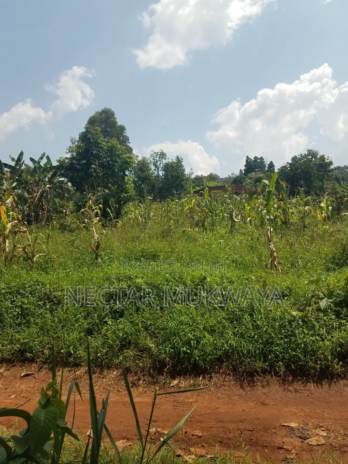 Land Near Ucu Half Accre
