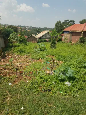 Land Near Ucu University Half Accre