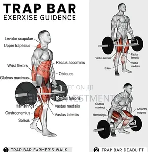 Olympic Hex Bar(Trap Bar)