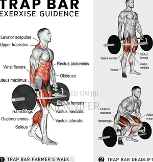 Olympic Hex Bar(Trap Bar)