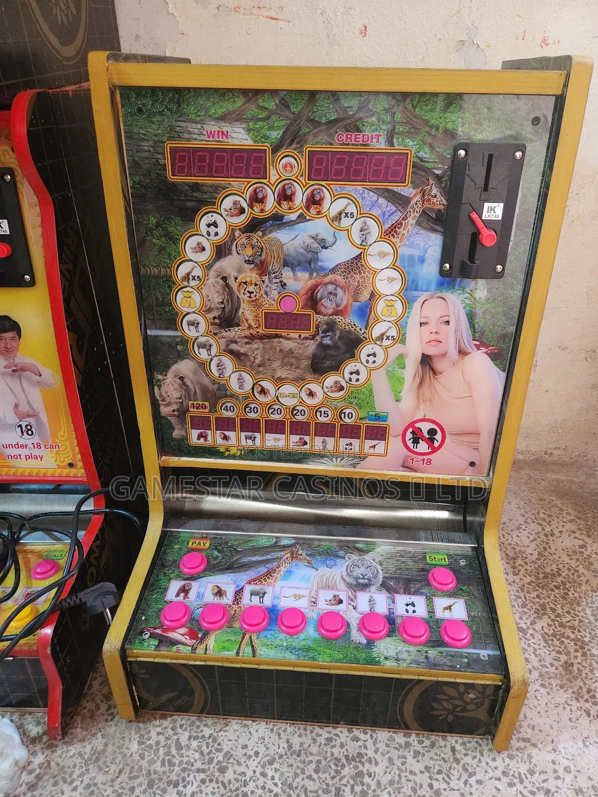 Gaming Slot Machine