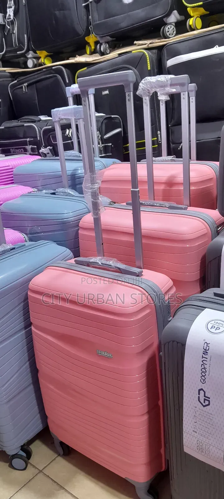 Plastic Pinky Suitcases
