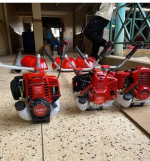 4stroke Petrol Engine Grass Cutter