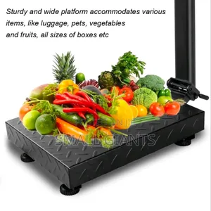 300kg Commercial Digital Platform Scale, for Industrial or Retail Use