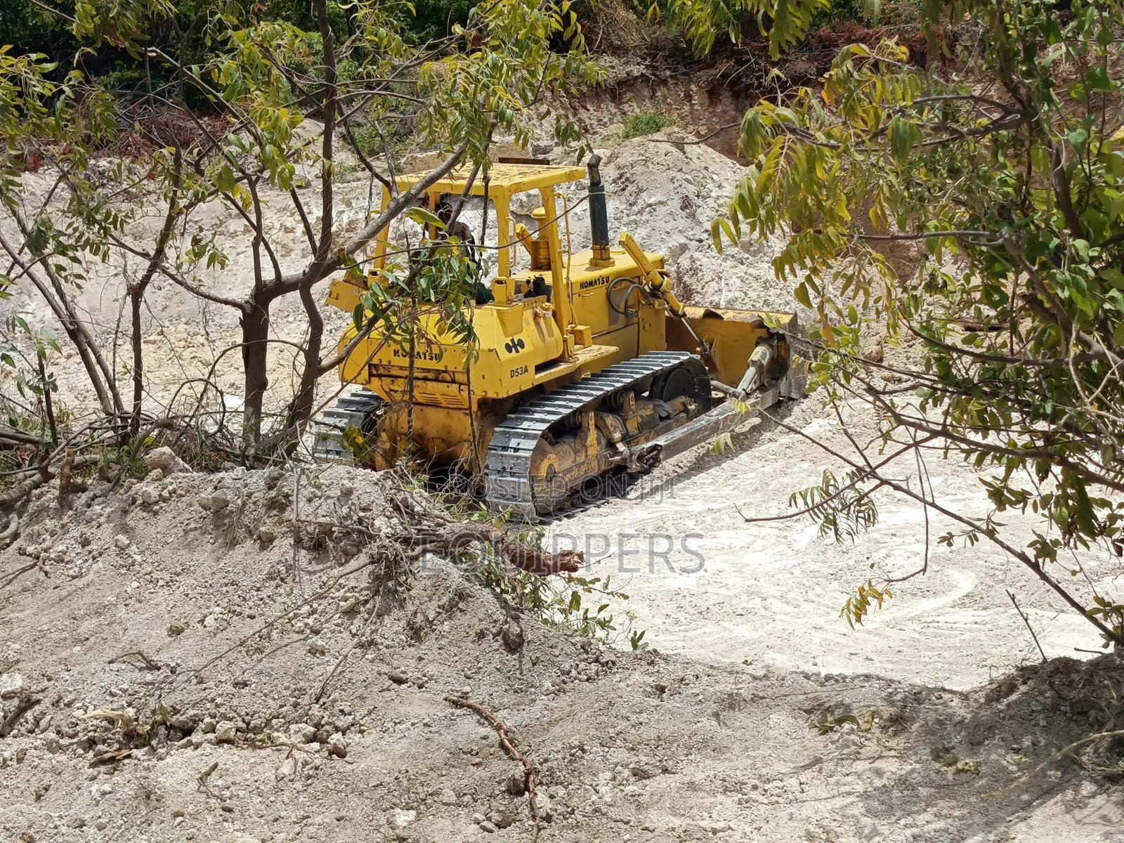 Bulldozer Hire Services