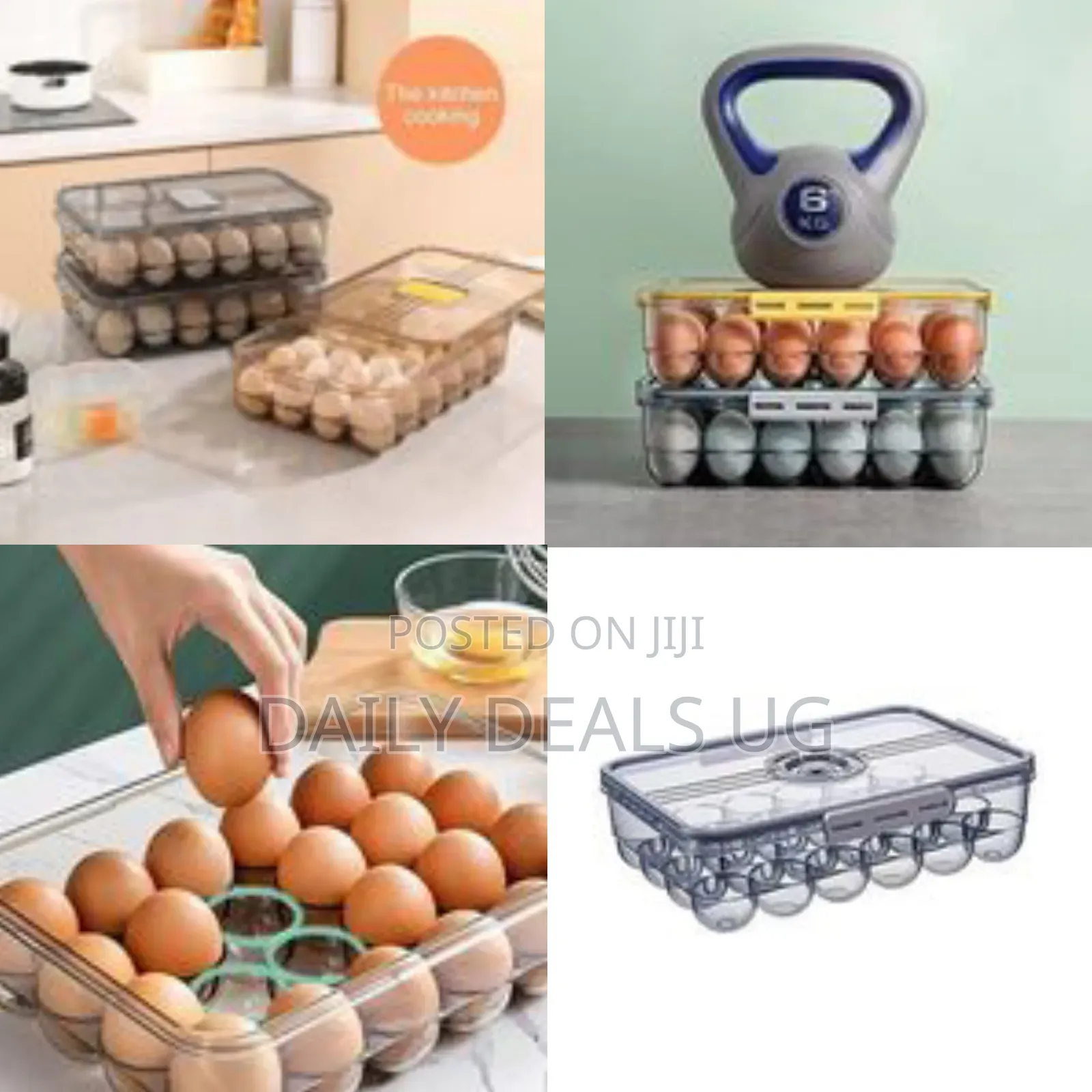 Clear Egg Storage Container - Transparent